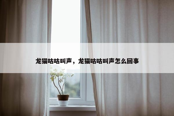 龙猫咕咕叫声，龙猫咕咕叫声怎么回事