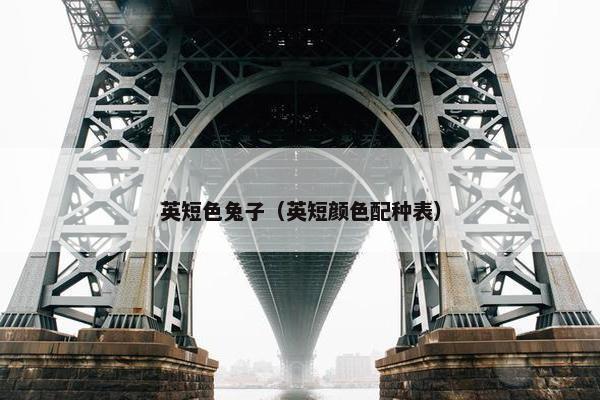 英短色兔子（英短颜色配种表）