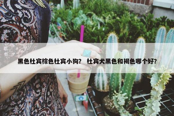 黑色杜宾棕色杜宾小狗？ 杜宾犬黑色和褐色哪个好？