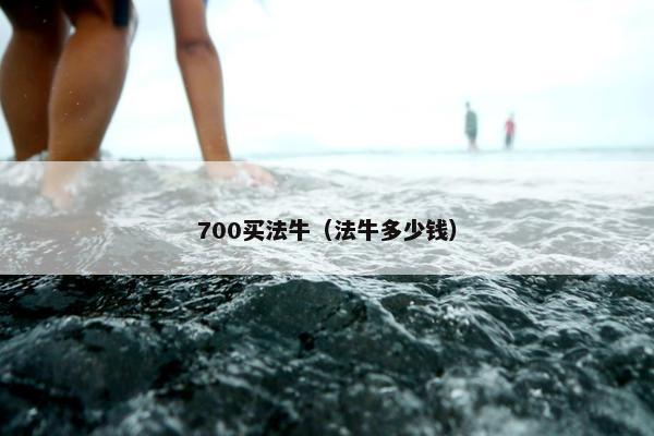 700买法牛（法牛多少钱）