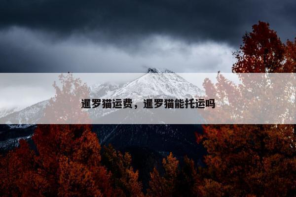 暹罗猫运费，暹罗猫能托运吗
