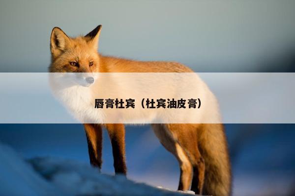 唇膏杜宾（杜宾油皮膏）