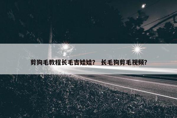剪狗毛教程长毛吉娃娃？ 长毛狗剪毛视频？