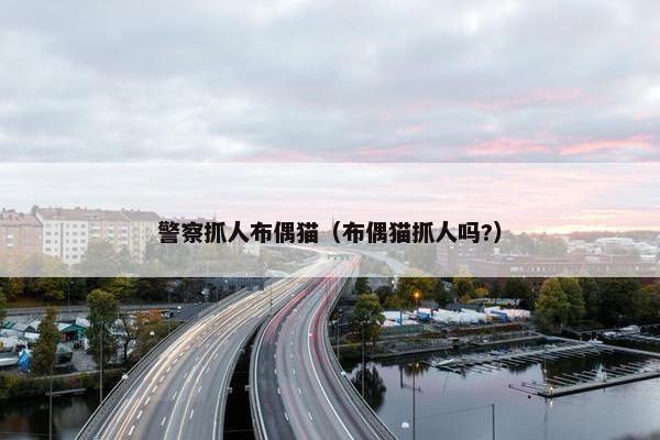 警察抓人布偶猫（布偶猫抓人吗?）