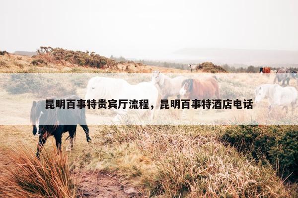 昆明百事特贵宾厅流程，昆明百事特酒店电话