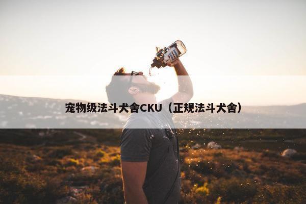 宠物级法斗犬舍CKU（正规法斗犬舍）