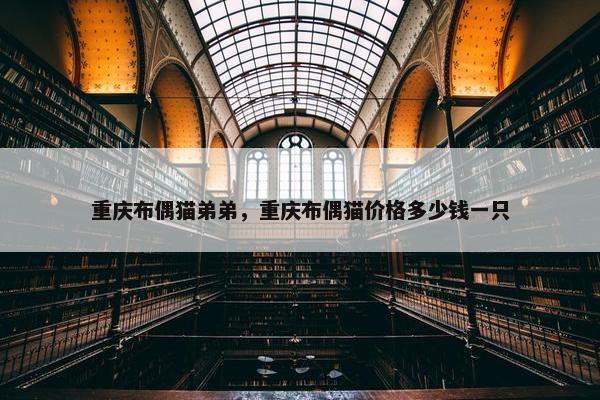 重庆布偶猫弟弟，重庆布偶猫价格多少钱一只