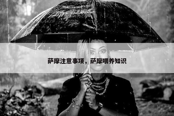 萨摩注意事项，萨摩喂养知识