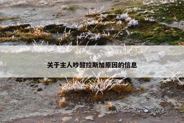 关于主人吵醒拉斯加原因的信息