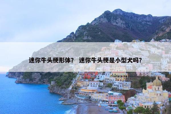 迷你牛头梗形体？ 迷你牛头梗是小型犬吗？