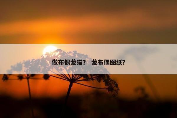 做布偶龙猫？ 龙布偶图纸？