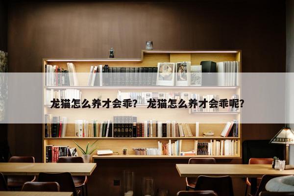 龙猫怎么养才会乖？ 龙猫怎么养才会乖呢？