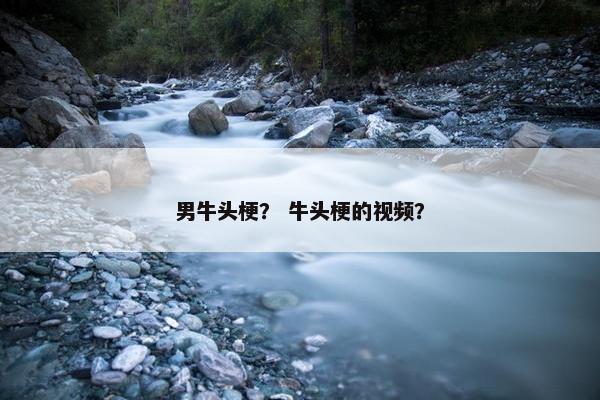男牛头梗？ 牛头梗的视频？