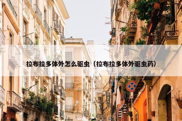 拉布拉多体外怎么驱虫（拉布拉多体外驱虫药）