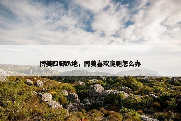 博美四脚趴地，博美喜欢爬腿怎么办