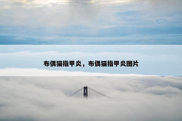 布偶猫指甲炎，布偶猫指甲炎图片