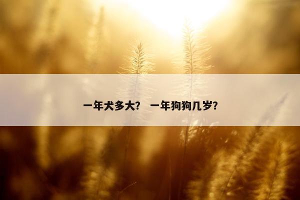 一年犬多大？ 一年狗狗几岁？