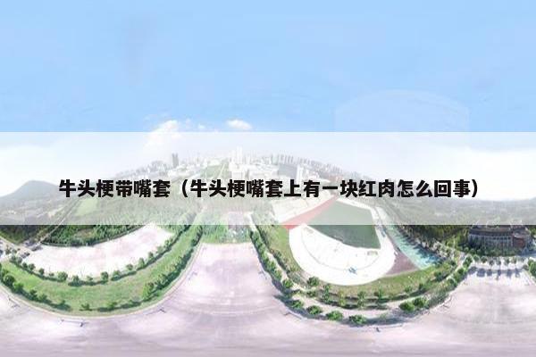 牛头梗带嘴套（牛头梗嘴套上有一块红肉怎么回事）