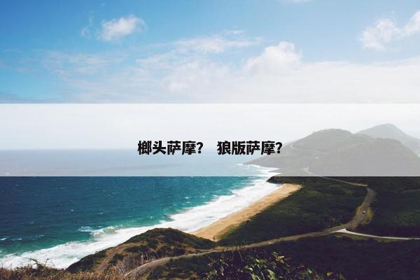 榔头萨摩？ 狼版萨摩？