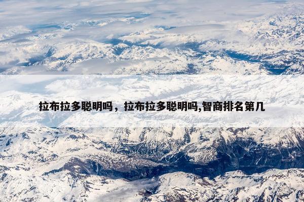 拉布拉多聪明吗，拉布拉多聪明吗,智商排名第几