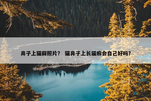 鼻子上猫藓照片？ 猫鼻子上长猫癣会自己好吗？