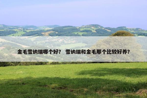 金毛雪纳瑞哪个好？ 雪纳瑞和金毛那个比较好养？