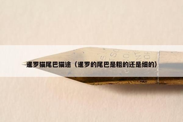 暹罗猫尾巴猫途（暹罗的尾巴是粗的还是细的）