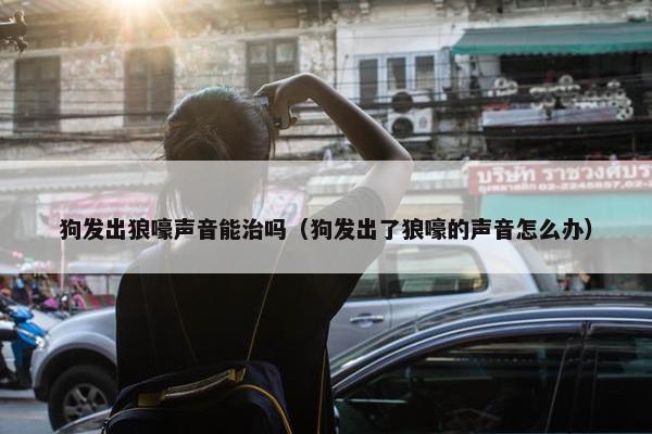 狗发出狼嚎声音能治吗（狗发出了狼嚎的声音怎么办）