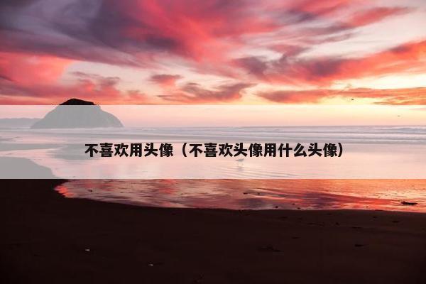 不喜欢用头像（不喜欢头像用什么头像）
