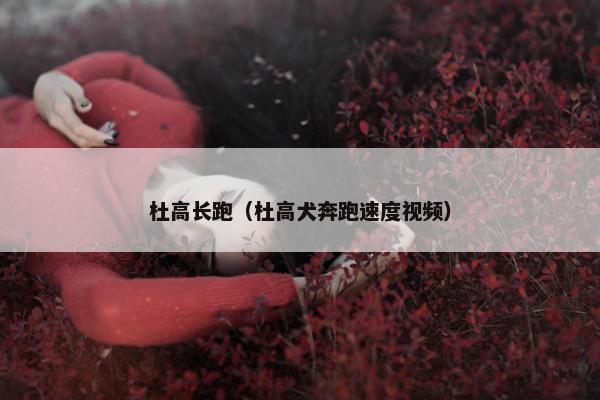 杜高长跑（杜高犬奔跑速度视频）