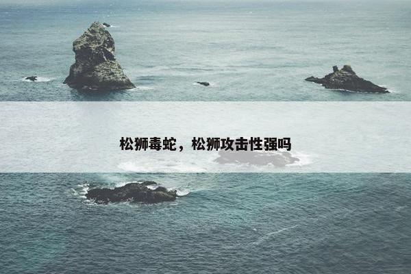 松狮毒蛇，松狮攻击性强吗