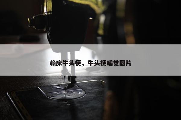 赖床牛头梗，牛头梗睡觉图片