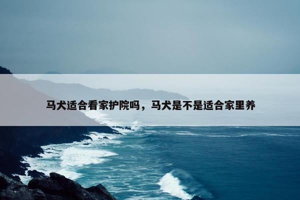 马犬适合看家护院吗，马犬是不是适合家里养