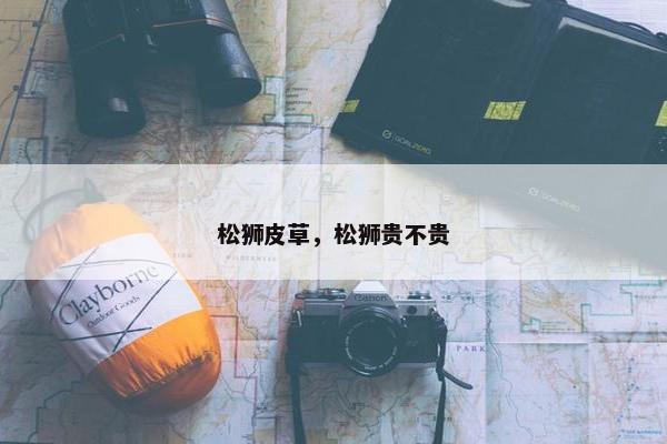 松狮皮草，松狮贵不贵