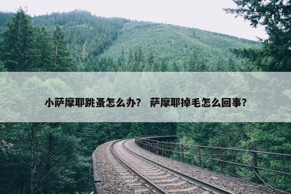 小萨摩耶跳蚤怎么办？ 萨摩耶掉毛怎么回事？