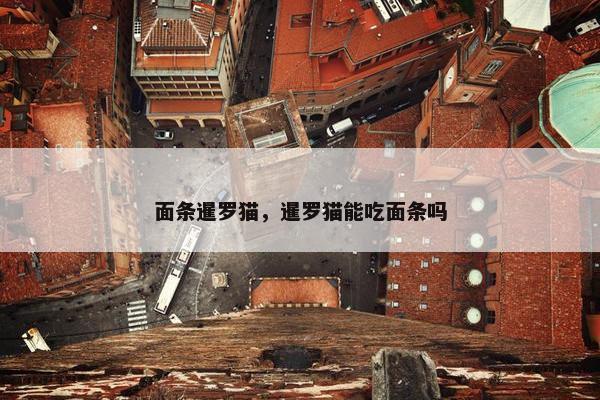面条暹罗猫，暹罗猫能吃面条吗