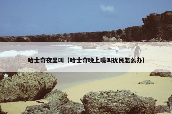 哈士奇夜里叫（哈士奇晚上嚎叫扰民怎么办）