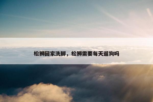 松狮回家洗脚，松狮需要每天遛狗吗