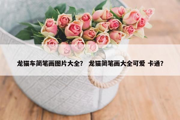 龙猫车简笔画图片大全？ 龙猫简笔画大全可爱 卡通？