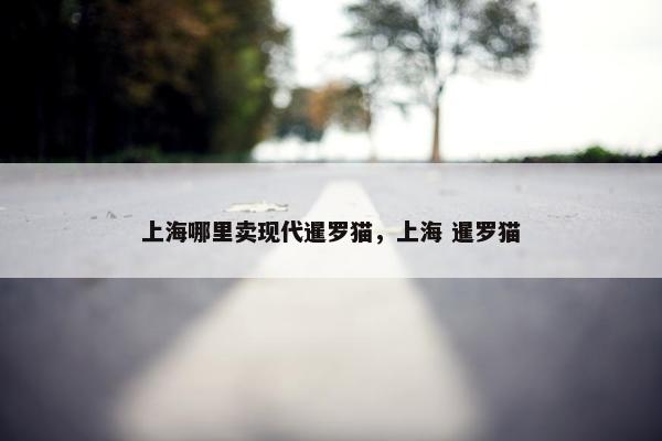 上海哪里卖现代暹罗猫，上海 暹罗猫