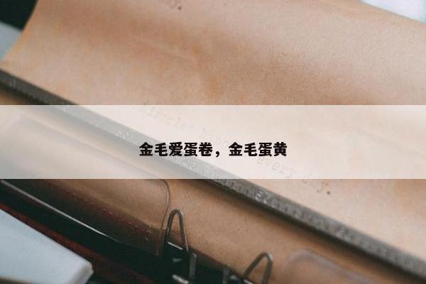 金毛爱蛋卷，金毛蛋黄