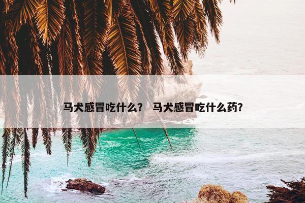 马犬感冒吃什么？ 马犬感冒吃什么药？