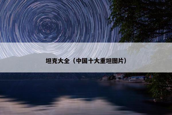 坦克大全（中国十大重坦图片）