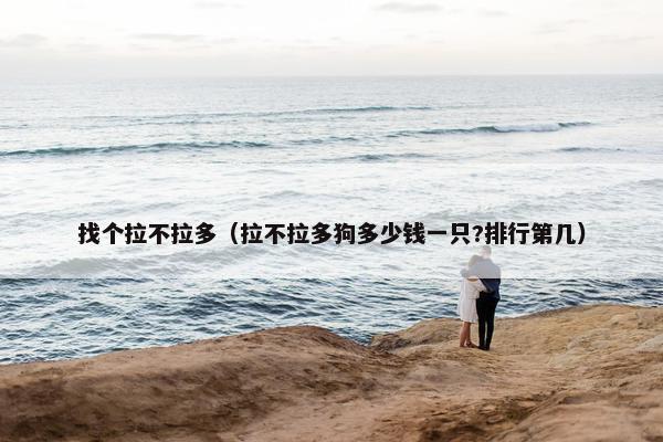找个拉不拉多（拉不拉多狗多少钱一只?排行第几）