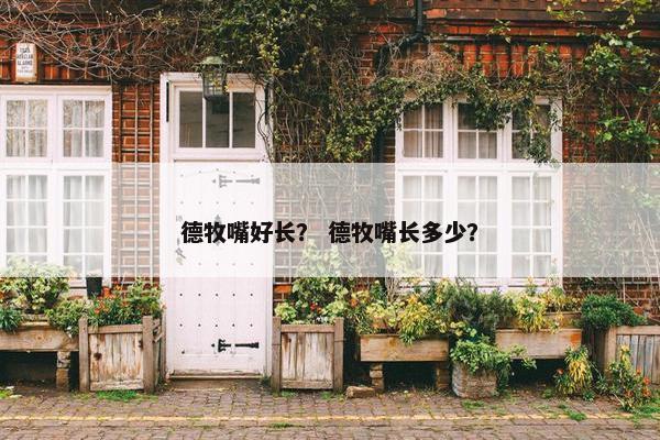 德牧嘴好长？ 德牧嘴长多少？