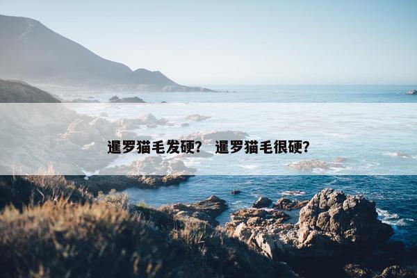 暹罗猫毛发硬？ 暹罗猫毛很硬？
