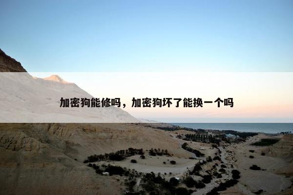 加密狗能修吗，加密狗坏了能换一个吗