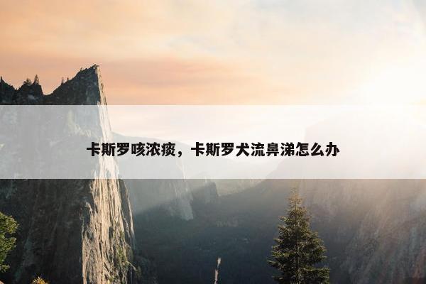 卡斯罗咳浓痰，卡斯罗犬流鼻涕怎么办