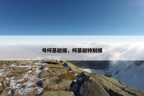 母柯基腿细，柯基腿特别细
