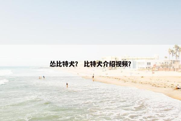怂比特犬？ 比特犬介绍视频？